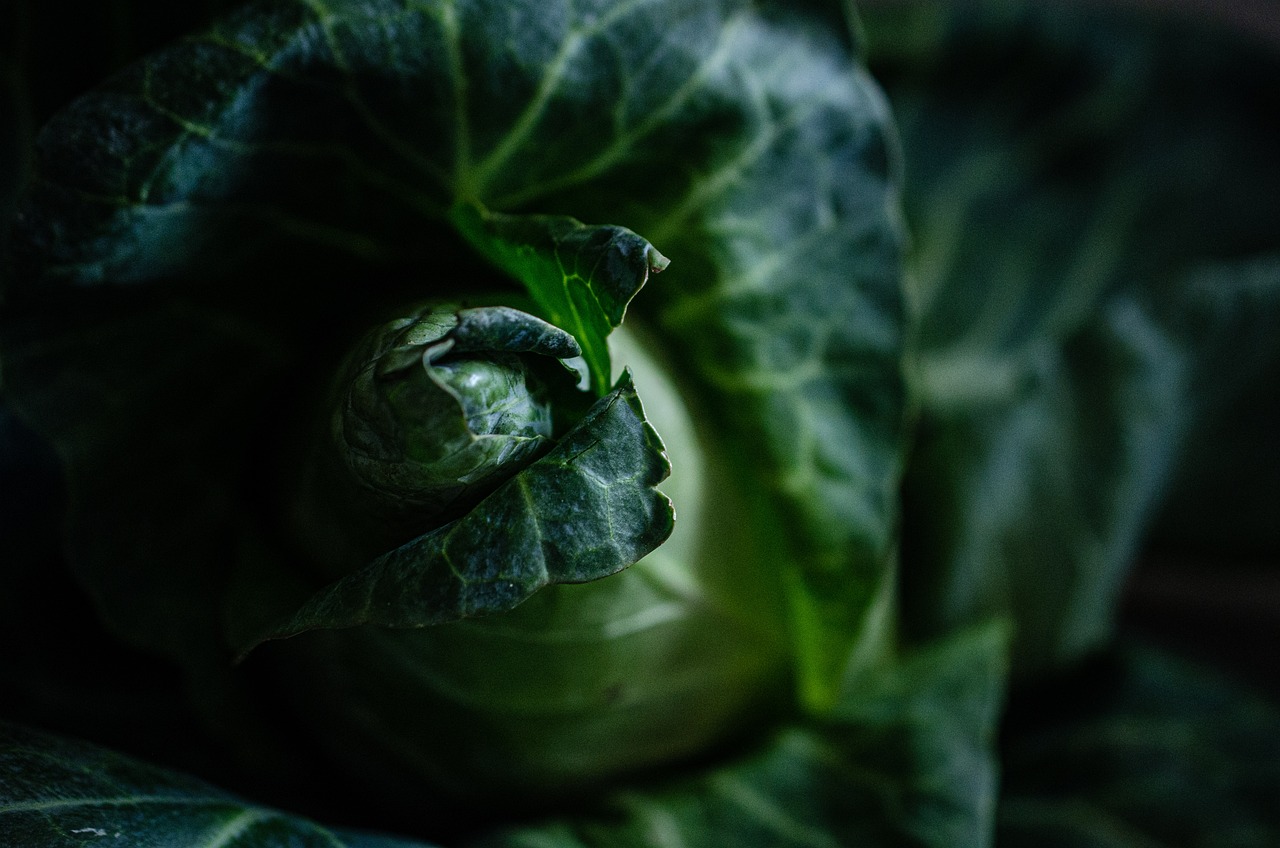Geheimzinnige paden in een duistere oase tuinontwerp. Geheimzinnige paden in een duistere oase tuinontwerp.