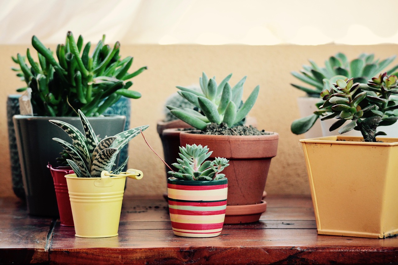 Buiten lezen op terras met groene planten. Buiten lezen op terras met groene planten.