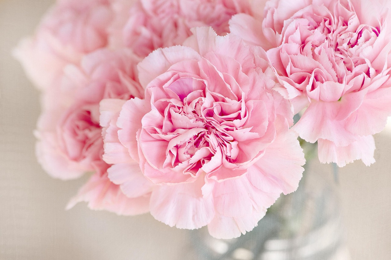 Pastel palet behang met lente bloemen. Pastel palet behang met lente bloemen.