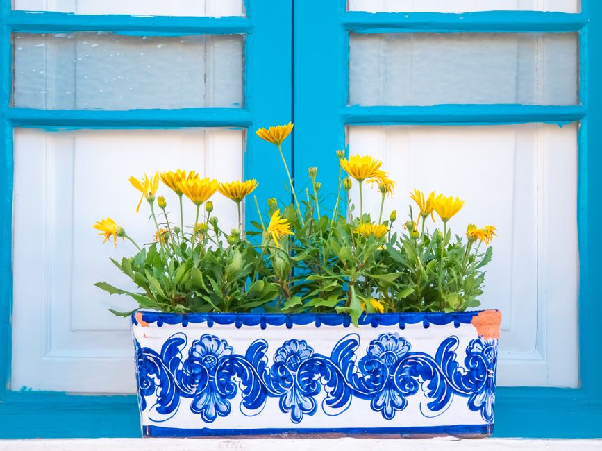 Stijlvol turquoise vloerkleed in zonnige inrichting.