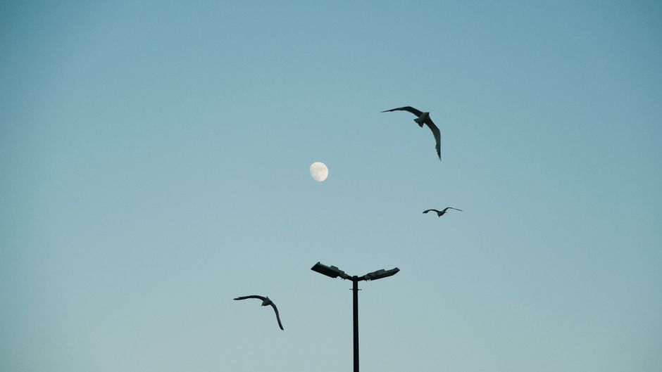 Maanlamp projecteert zachte mystieke schaduwen. Maanlamp projecteert zachte mystieke schaduwen.