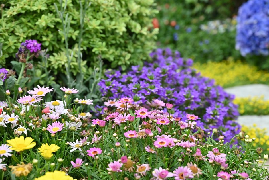 Meditatieve tuin met serene vijver en banken. Meditatieve tuin met serene vijver en banken.