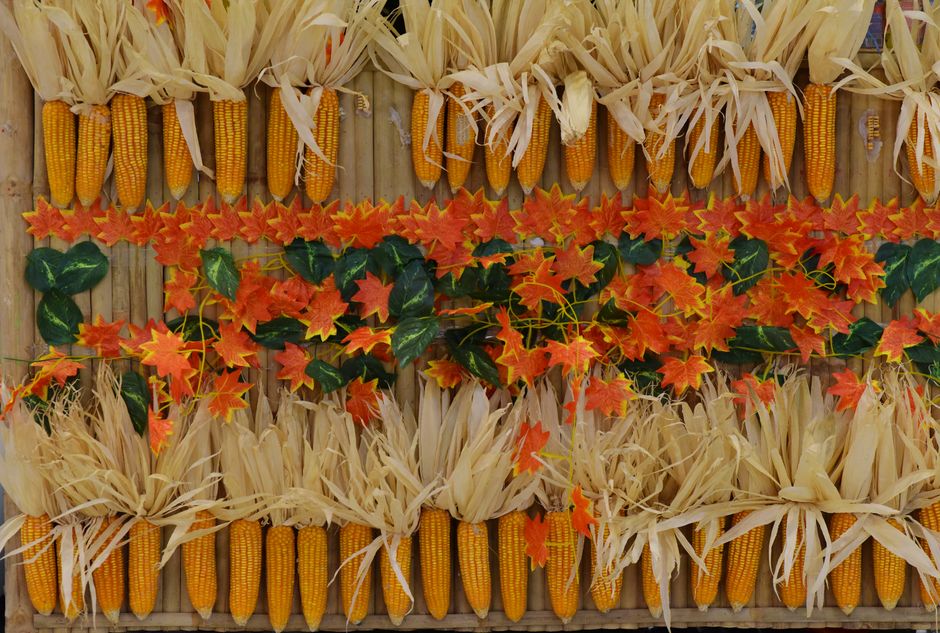 Kleurrijke herfstkransen voor deuropeningen. Kleurrijke herfstkransen voor deuropeningen.